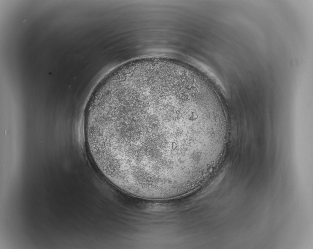 X0000101691275200807311404