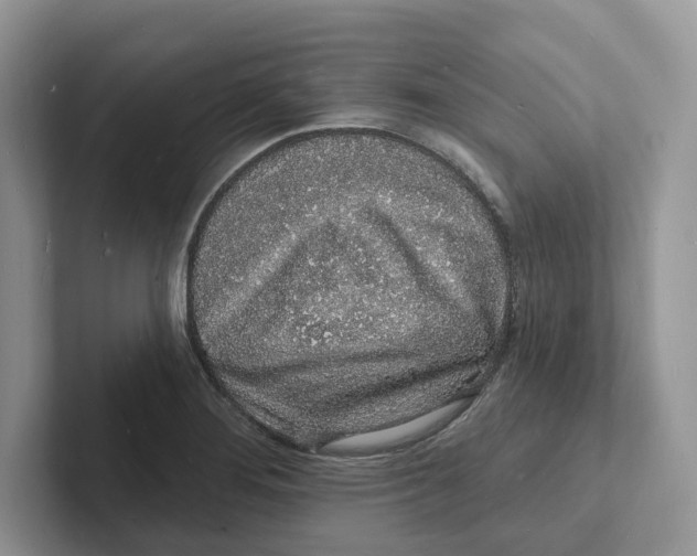 X0000101691276200807311404