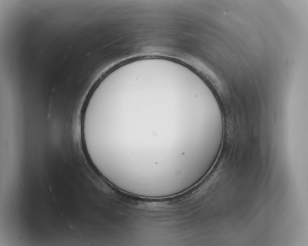 X0000101691280200807311404