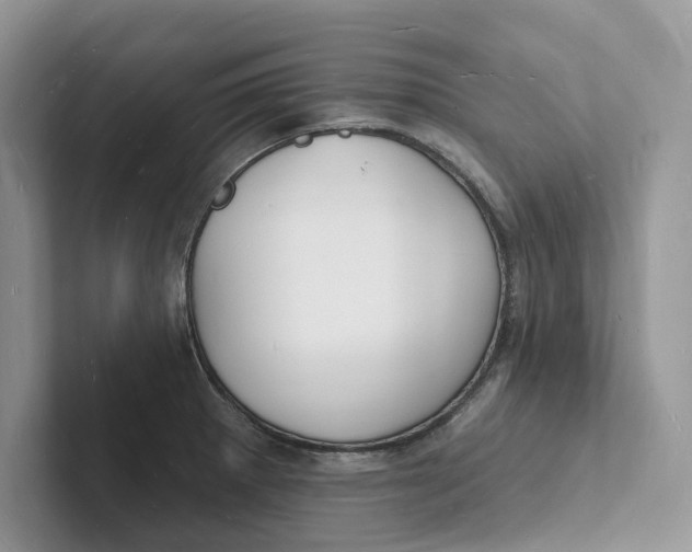 X0000101691281200807311404