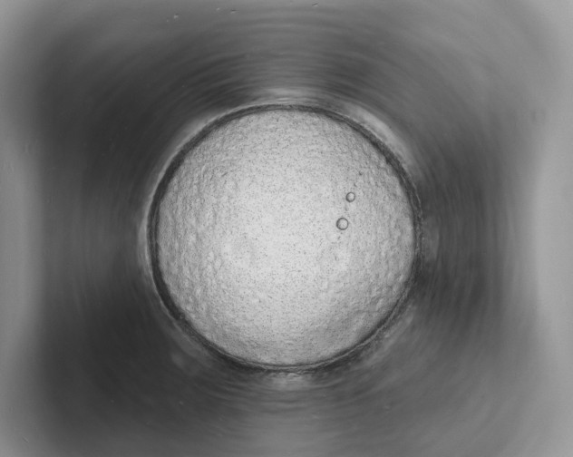 X0000101691283200807311404