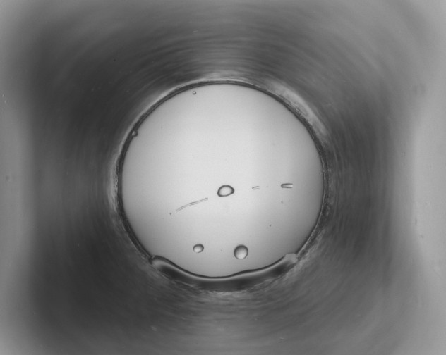 X0000101691284200807311404