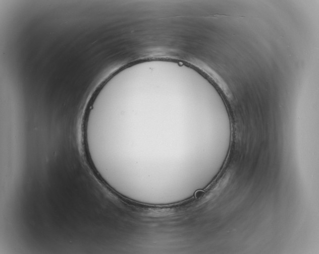 X0000101691285200807311404