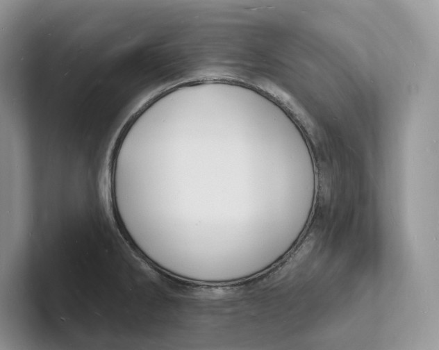 X0000101691286200807311404