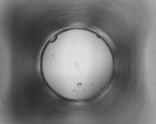 X0000101691288200807311404