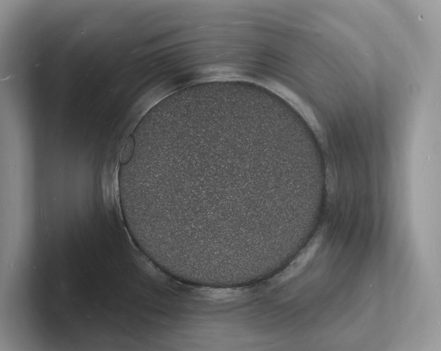 X0000101691289200807311404