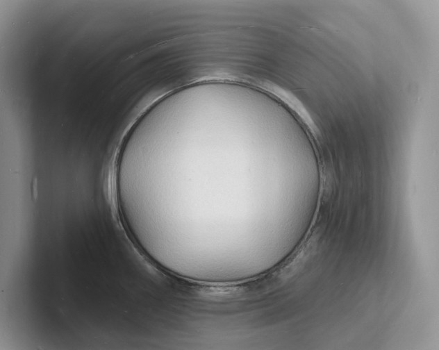 X0000101691290200807311404