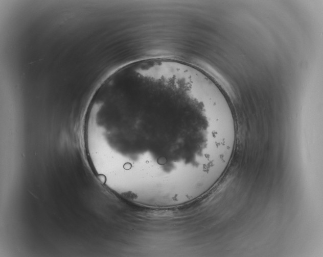 X0000101691291200807311404