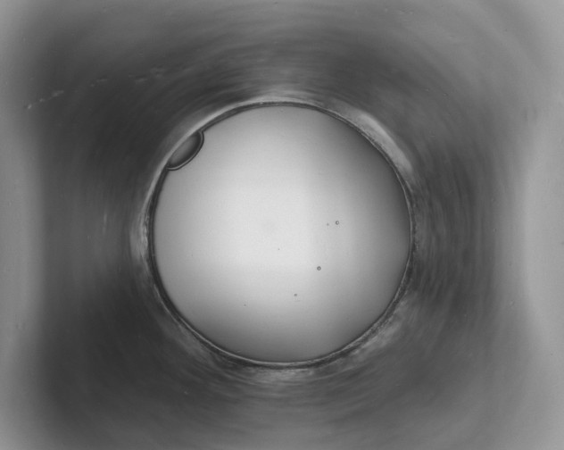 X0000101691292200807311404