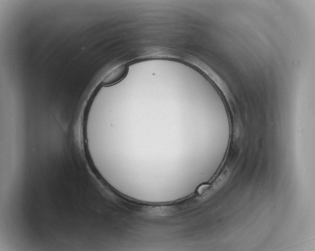 X0000101691293200807311404