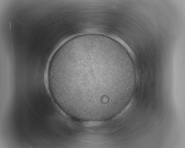 X0000101691294200807311404