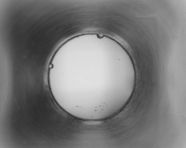 X0000101691296200807311404