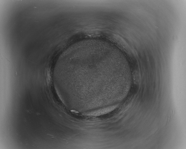 X0000101691298200807311404