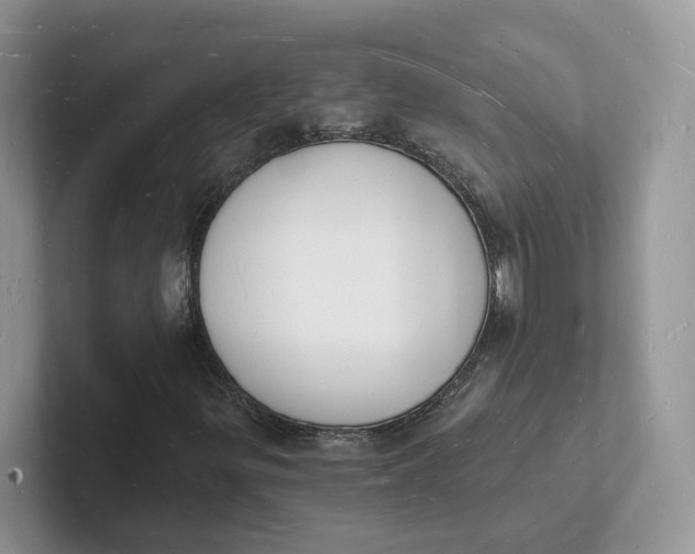 X0000101691299200807311404