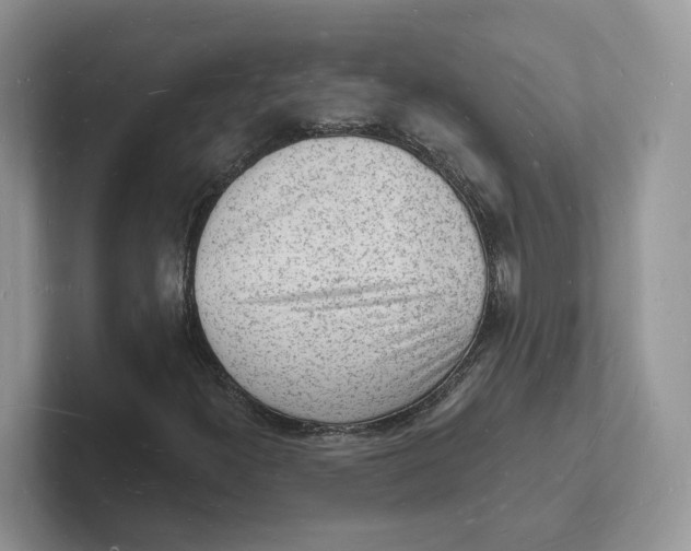 X0000101691300200807311404