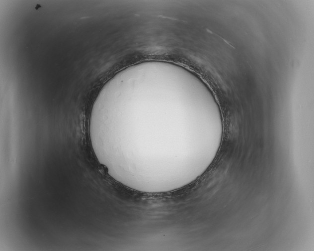 X0000101691301200807311404