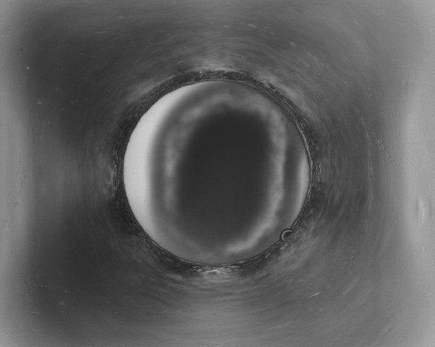 X0000101691303200807311404