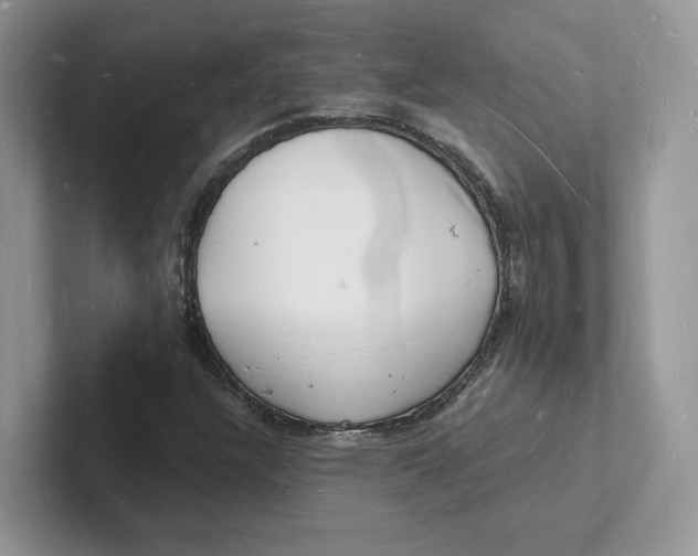 X0000101691304200807311404