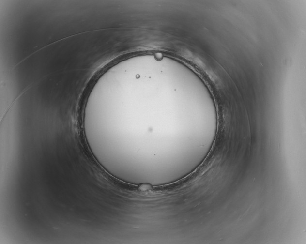 X0000101691308200807311404