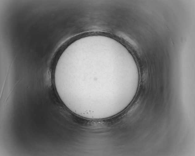 X0000101691310200807311404