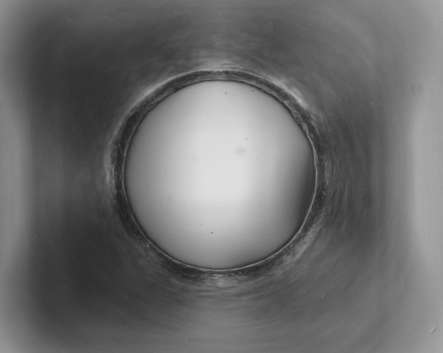 X0000101691311200807311404