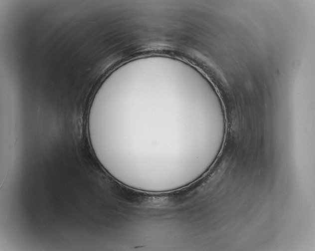 X0000101691313200807311404