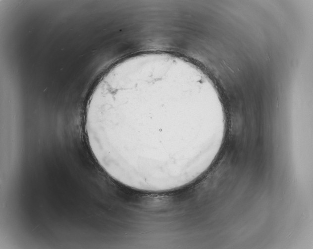 X0000101691314200807311404