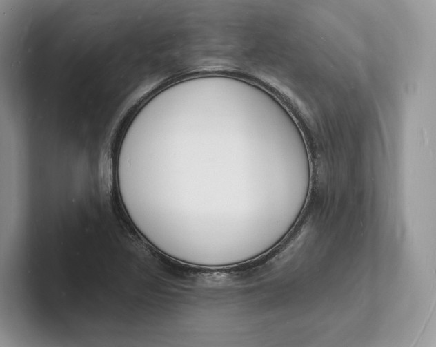 X0000101691317200807311404