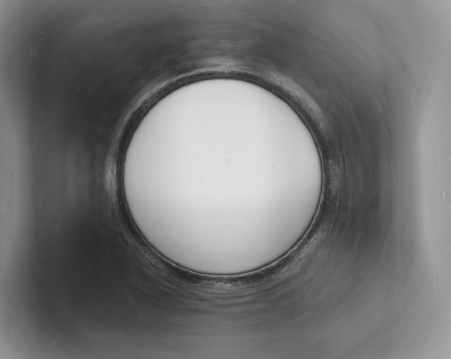 X0000101691318200807311404