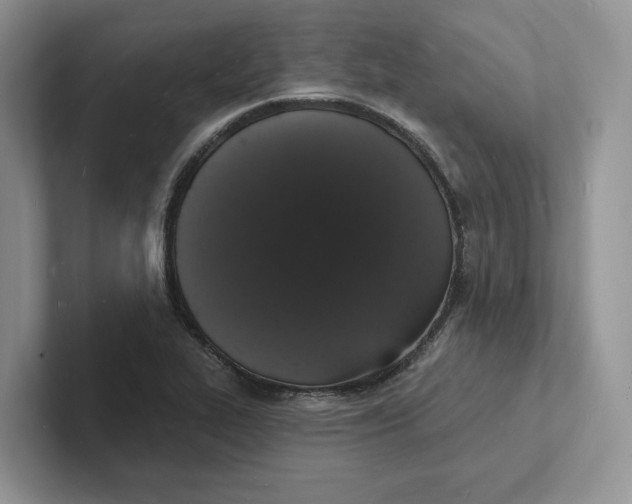 X0000101691319200807311404