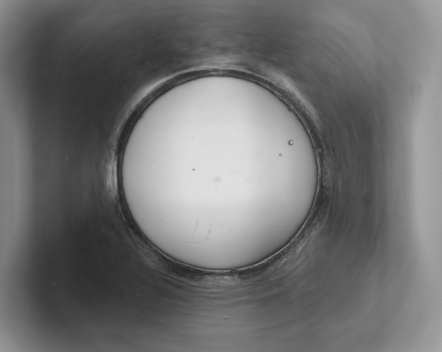 X0000101691320200807311404