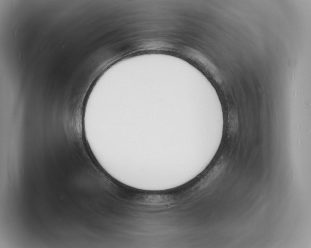 X0000101691322200807311404