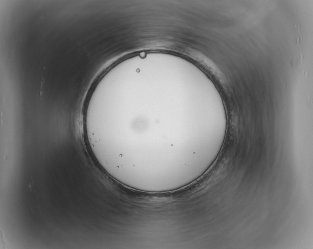 X0000101691324200807311404