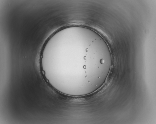 X0000101691325200807311404