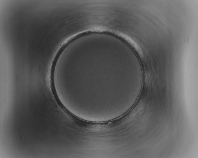 X0000101691327200807311404