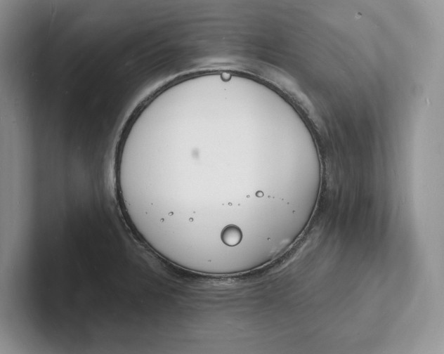 X0000101691328200807311404