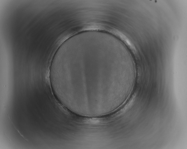 X0000101691329200807311404