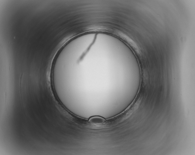 X0000101691330200807311404