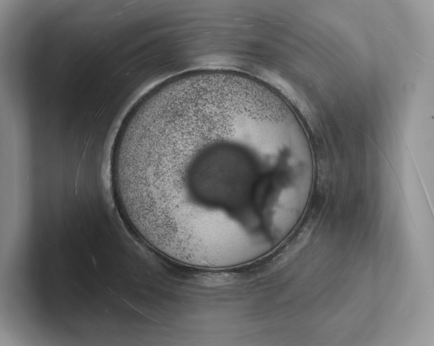 X0000101691331200807311404