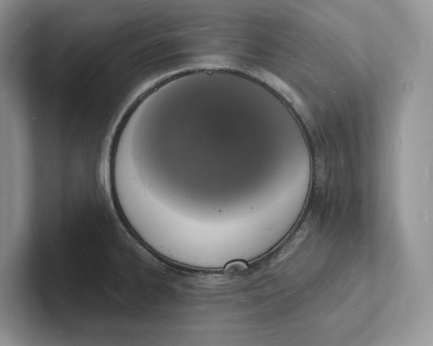 X0000101691334200807311404