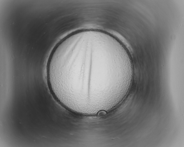 X0000101691335200807311404