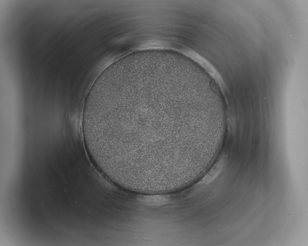 X0000101691337200807311404