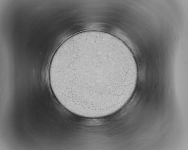 X0000101691338200807311404