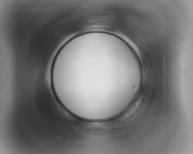 X0000101691341200807311404