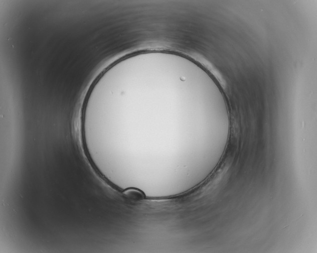 X0000101691343200807311404