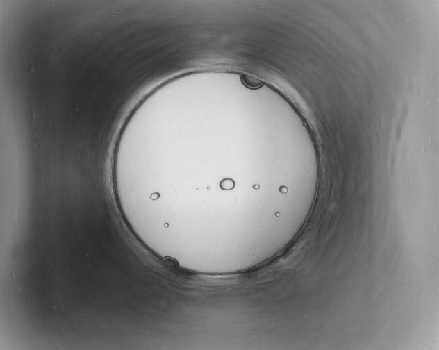 X0000101691344200807311404