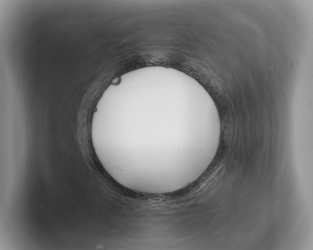 X0000101691345200807311404