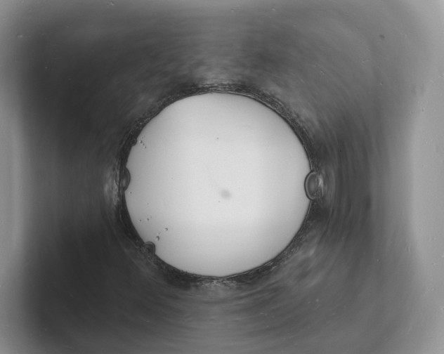 X0000101691348200807311404