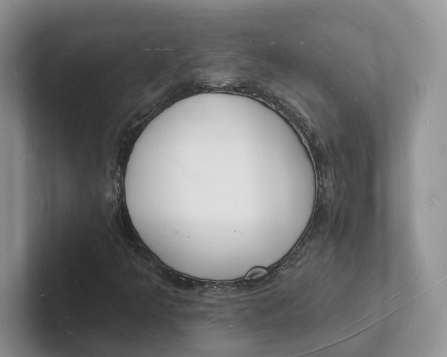 X0000101691349200807311404