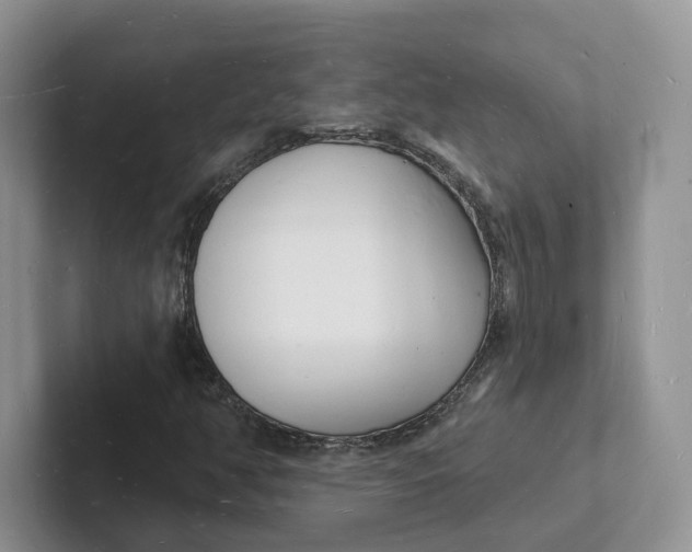 X0000101691350200807311404